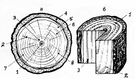 construct_90_01.jpg