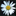 favicon.ico