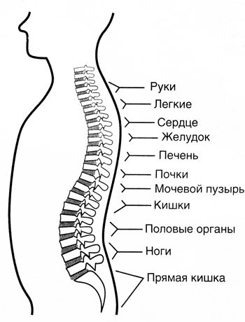 med_advice.07.jpg