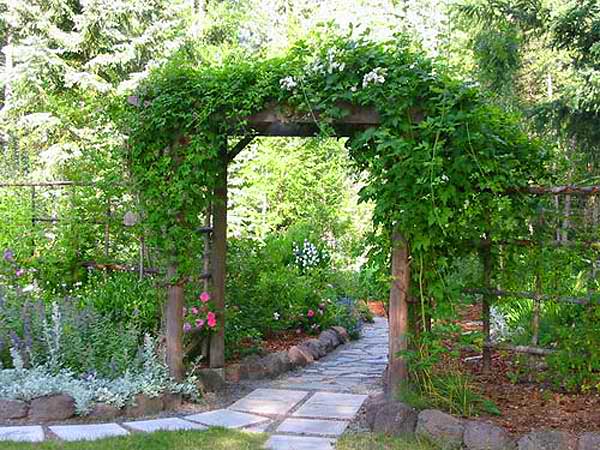 pergola_042.jpg