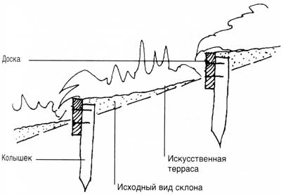 planirovka_23_1.jpg