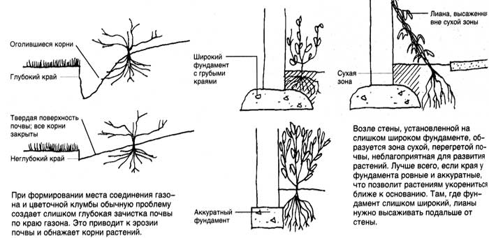 planirovka_31_1.jpg