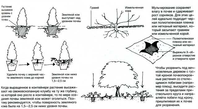 planirovka_31_2.jpg