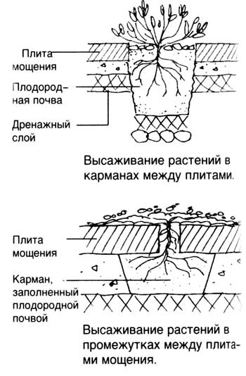 planirovka_33_2.jpg