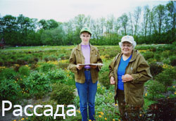 banner_niz_03.jpg