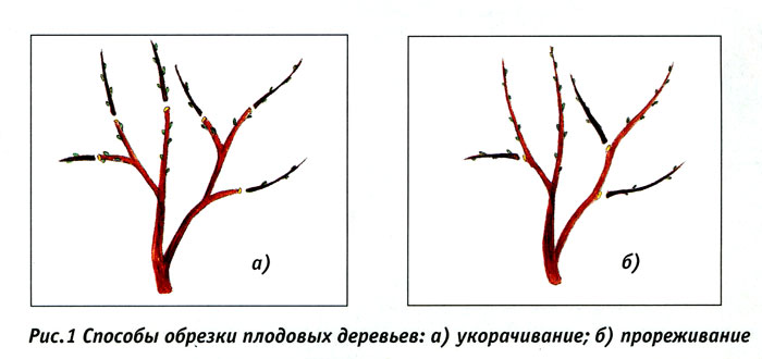 vesen_obrezka_01.jpg