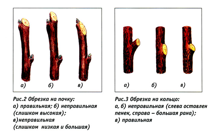 vesen_obrezka_02.jpg