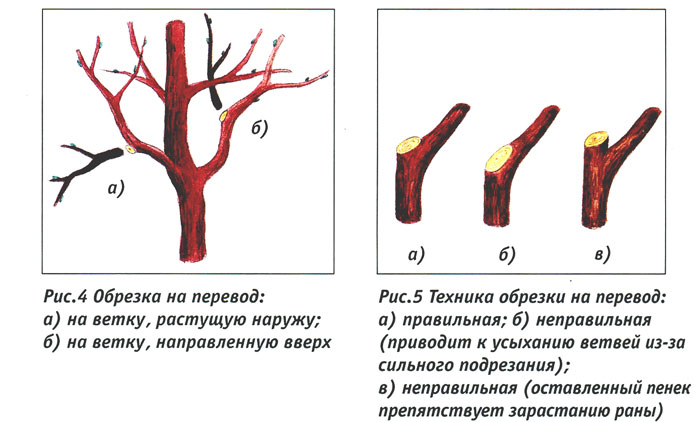 vesen_obrezka_03.jpg