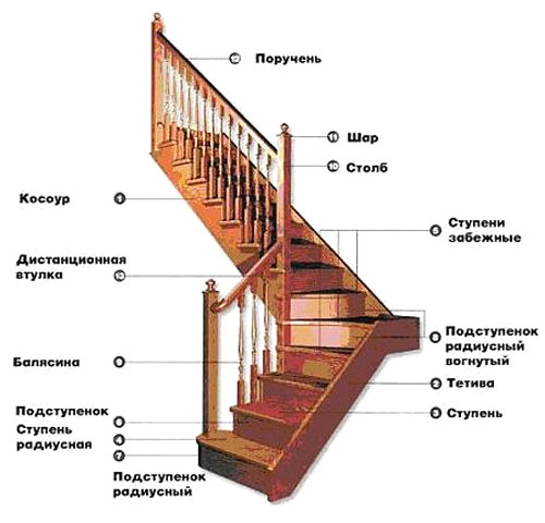 Устройство и элементы лестницы