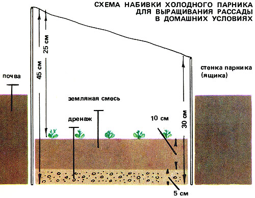 xorizont_byklet_03.jpg