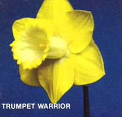 TRUMPET WARRIOR