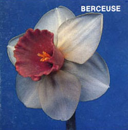 BERCEUSE