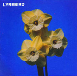 Lyrebird