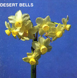 DESERT BELLS