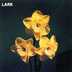 LARK