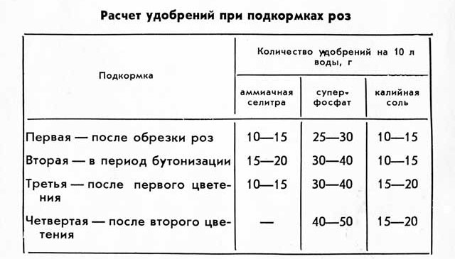 Расчет удобрений для роз